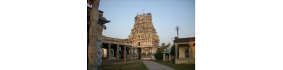 நாகை நீலதயாட்சி - தமிழ்நாடு